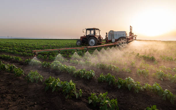 Professional Pest Control in Steele, MO