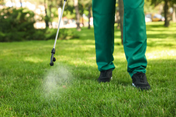 Best Pest Removal Services  in Steele, MO