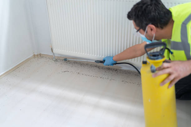 Best Pest Prevention Services  in Steele, MO